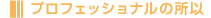 �v���t�F�b�V���i���̏���