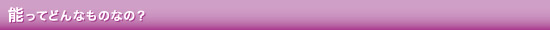 能ってどんなものなの?